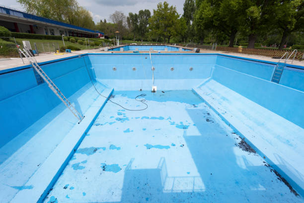 Best Flood restoration services  in Edgerton, KS