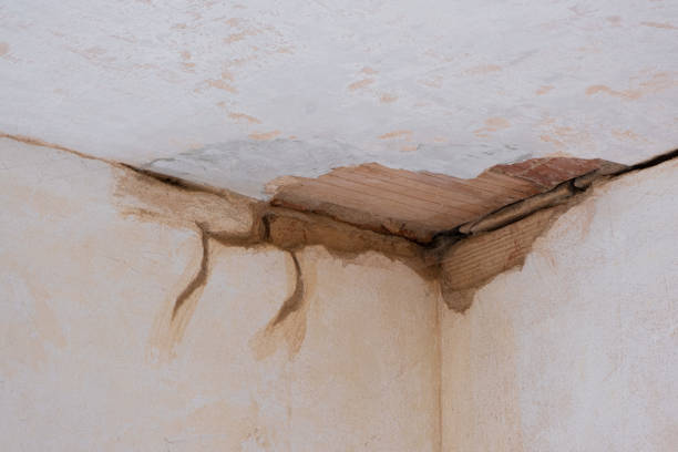 Best Water damage restoration near me  in Edgerton, KS