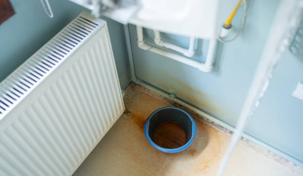 Best Water damage contractors near me  in Edgerton, KS
