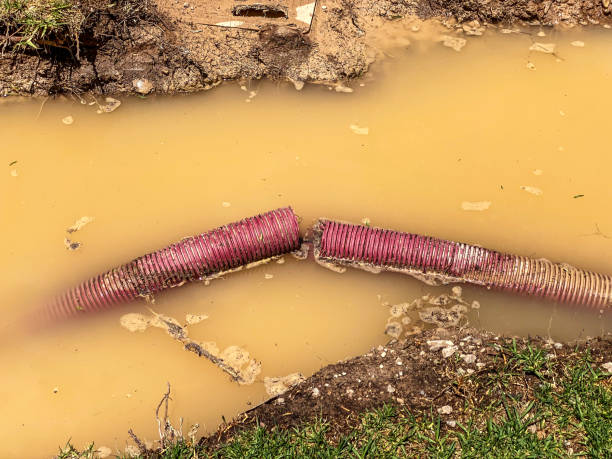Best Fire Damage Restoration  in Edgerton, KS
