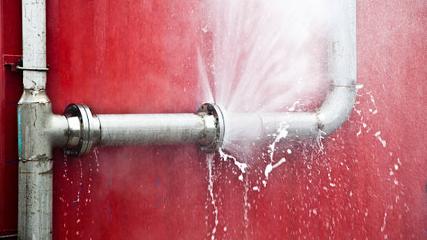 Best Basement water damage restoration  in Edgerton, KS